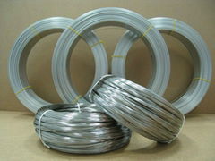 Galvanized Iron Wire