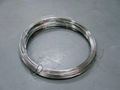 Galvanized Iron Wire 2