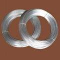 Galvanized Iron Wire 3