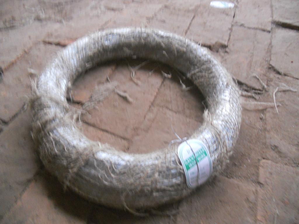 Galvanized Iron Wire 5