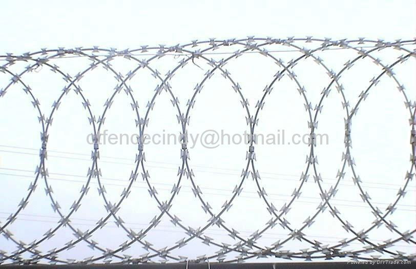 Razor Wire 2