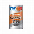 T321 Air-intake Cleaner