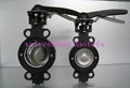 High Performance Butterfly valve 1