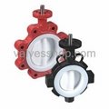 All Cover PTFE Lug Type Butterfly Valve