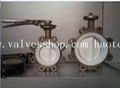 Stainless steel All Cover PTFE Lug Type