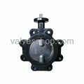 Rubber Lug Type Butterfly Valve