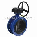 Rubber Flange Type Butterfly Valve 1