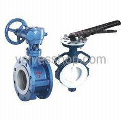 All Cover PTFE Flange Type Butterfly Valve