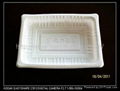 Food Blister Tray