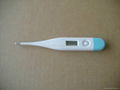 Digital Thermometer