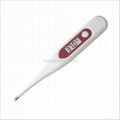 Digital thermometer