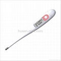 digital thermometer