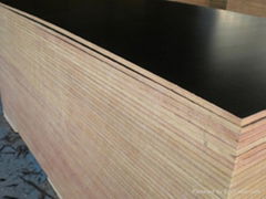 plywood 