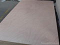 Commercial plywood  1