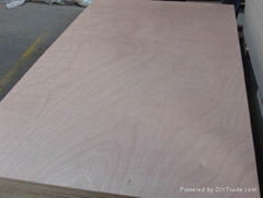 Commercial plywood