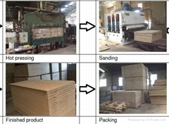 Linyi fuan plywood factory