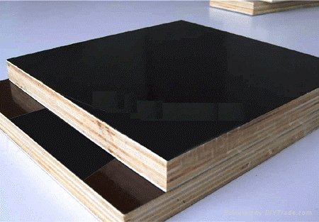 film faced plywood for construction 