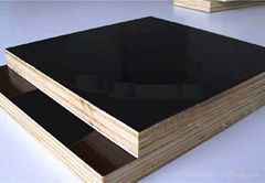 film faced plywood for construction