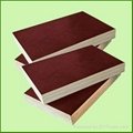 brown water proof film faced plywood 1