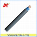 Single Core PVC Insulated Cable 450 /750 V 2