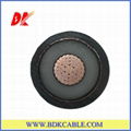 XLPE insulated and PVC sheathed power cable 1