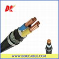 XLPE insulated and PVC sheathed power cable 2