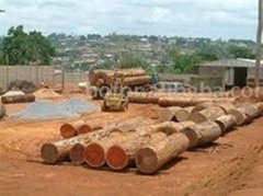 TImber from central African for sale