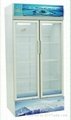 vertical display refrigerator SC-508 2