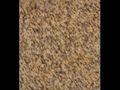 Tiger Yellow Granite 1