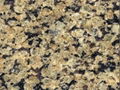 Apple green granite 1