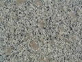 Pearl red granite 1