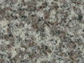 G687 Granite 1