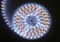 LED lighting led 5050/3528 stripe  LED FLEXIBLE STRIP LIGHTS