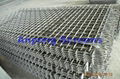 Crimped Wire Mesh( 65 Mn)-Vibrating Screen Mesh 3