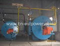 burning oil & gas thermal oil boiler 2