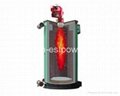 burning oil & gas thermal oil boiler 5
