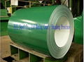 galvanized steel coil  3