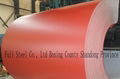 galvanized steel coil  4