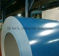 color coated steel coil  4