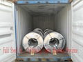 galvanized steel in coil 1