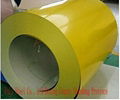 Color coated steel plates