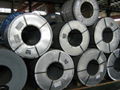 galvalume steel coil  1