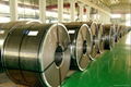 cold rolled steel coil