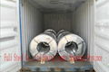 hot dgalvanized steel sheets  1