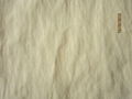 Cotton-Nylon Fabric 3