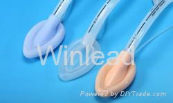 Laryngeal Masks Airway