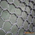 supply tortoise shell mesh