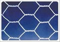 supply hexagonal wire mesh