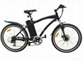 Electric Mountain Bike 1