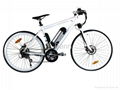 Performance electric bike - 250W